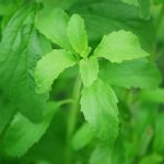 Stevia is a natural sweetener that is keto friendly